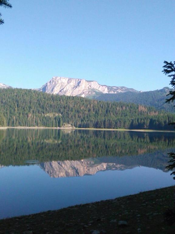 Chalet Hill Zabljak Dış mekan fotoğraf