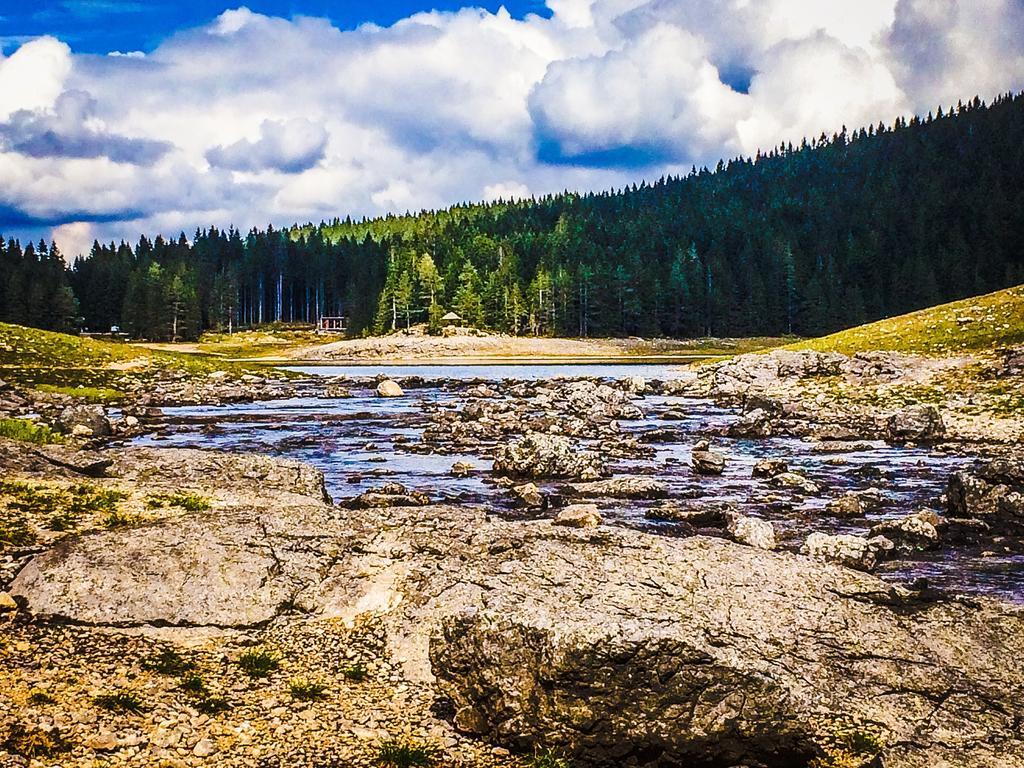 Chalet Hill Zabljak Oda fotoğraf